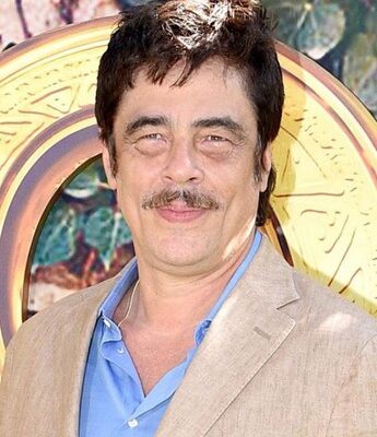 Benicio del Toro Movies & TV Shows List | Rotten Tomatoes | Rotten Tomatoes
