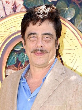 Benicio del Toro Movies & TV Shows List | Rotten Tomatoes | Rotten Tomatoes