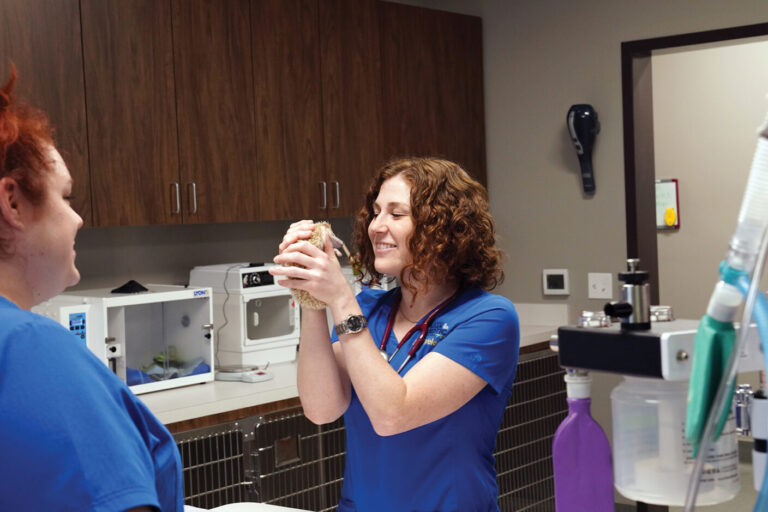Dr. Lauren Thielen Biography